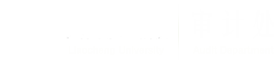 聊城大学审计处